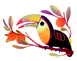 t-price: Toucan