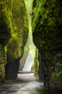 drxgonfly:  Passage (by Thorsten - www.thorstenscheuermann.com)