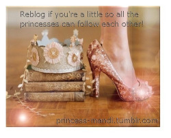 Oh my… crown, sparkly shoes AND books?!? *rubs eyes*