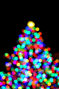 wavemotions:  O 'Bokeh' Christmas Tree