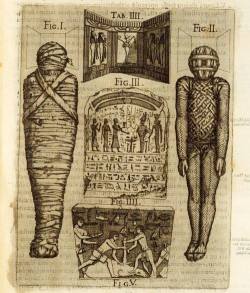 dark-mother:  A mummy and inscriptions documenting Egyptian funerary