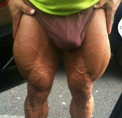 MUSCLEINGEAR