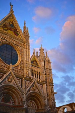 malcolmxing:  Cathedral di Siena 