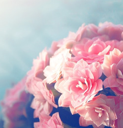 rreme:  # تفسيـر سورة النبـإ ..    { عَمَّ