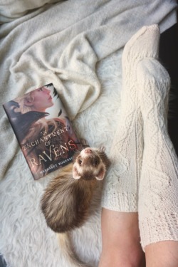 the-book-ferret:  “If you must stare at something for hours