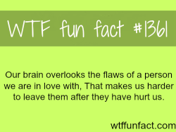 wtf-fun-factss:  how our brain works ?  - love / relationships