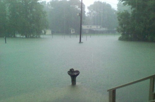 xangoblazedifiyah:  tontonmichel:  the-lonely-one96:  almalexias:  Louisiana is experiencing the worst flooding in the history of the state. Over 7,000 people have been rescued and over 5,000 people are in shelters unable to return to their homes. In