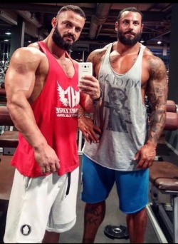 musclecorps:  
