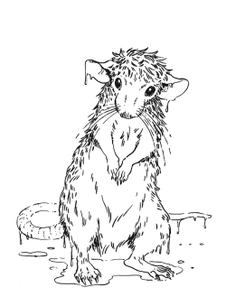 theserestlesshands: Inktober 11 - A Drowned Rat I got caught