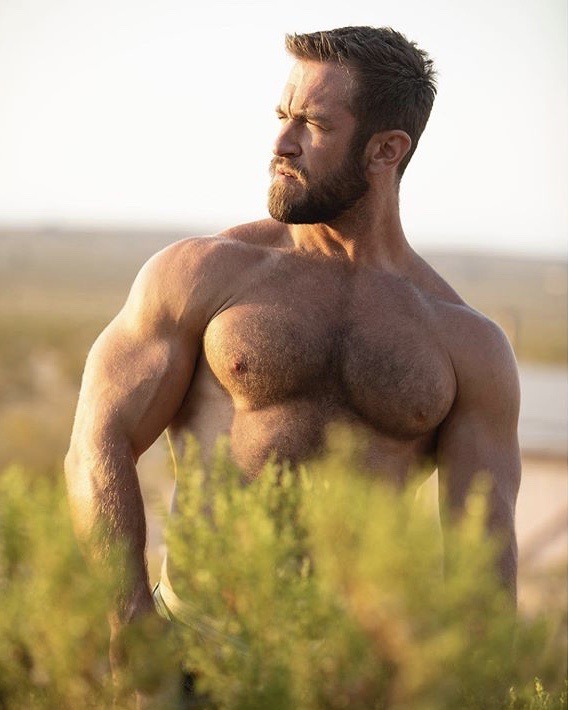 beefdessert:Golden hour. 