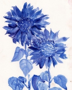 havekat:  MoonflowersWatercolor On Cotton Paper2018, 7"x