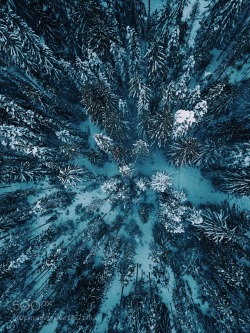 superbnature:Winter from above. by nickverbelchuk