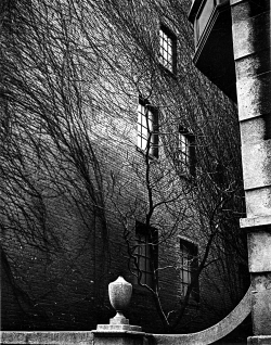 onlyoldphotography:  Brett Weston: Sutton Place, New York, 1945