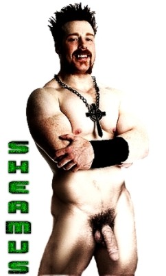 No a bad looking Sheamus fake