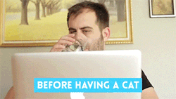 catshaming:  Video    