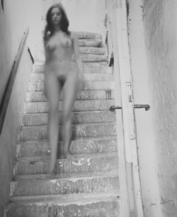 realityayslum: Karin Székessy  Staircase, 1966 