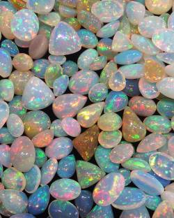 fitnika:oh my god it’s opal heaven!!!