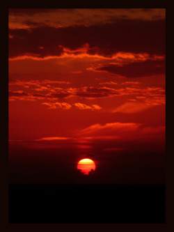 burnshesaid:  the sunset by ~tihku