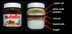 sixpenceee:  What Nutella is actually made of.