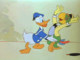 incognitomoustache:  The Three Caballeros: dancing, affection