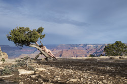 jacsfishburne:  The National Project (Grand Canyon National Park