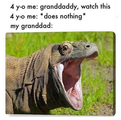 memeuplift:Follow @memeuplift​ for more wholesome memes   Is