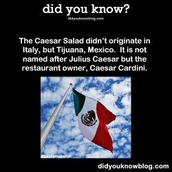 did-you-kno:  The Caesar Salad didn’t originate in Italy, but