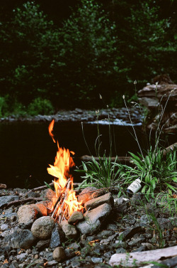 The woods are lovely dark and deep