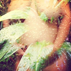 mypleasurealways:  asleepylioness:   Naked in the rain. Preferably