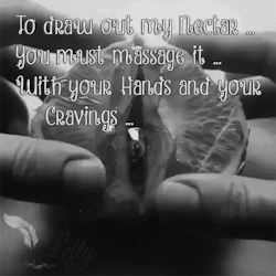 leftys-realm:  To draw out my Nectar ,,,You must massage it …With