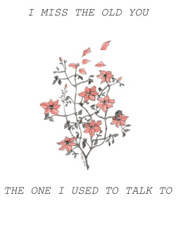 popnk:  The story so far // Mt. Diablo 