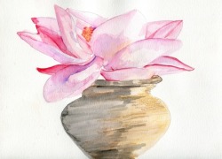 havekat:  Lonely Lotus