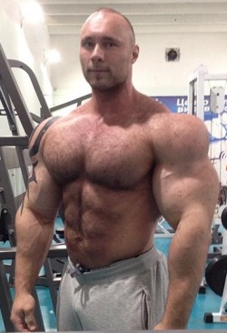 muscles make me crazy