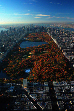 laragazzainvisibile81:  Autunno a New York, Central Park 