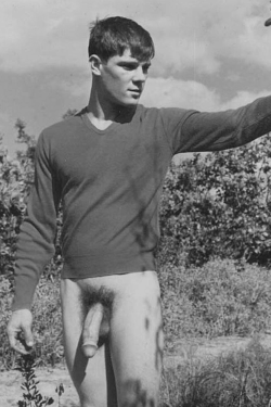 bullballsnhairycocks:  Vintage Cock