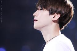 fybaekhyun: 150530 The EXO'luxion in Shanghai Day 1 © just like