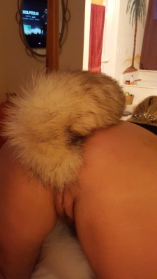 firstofthelastcalls:  Her new Fox tail! She really loves it.