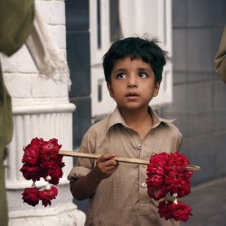 pakistan365: A kid sells flowers on the streets of Peshawar.Photo