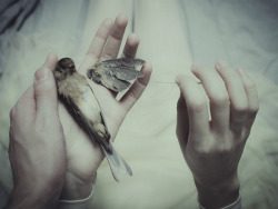 nuclearharvest:  The Anatomy of Melancholy by Laura Makabresku