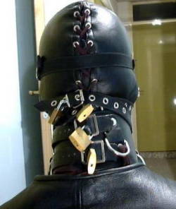 Finbikerguy