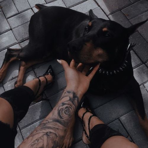 🌓