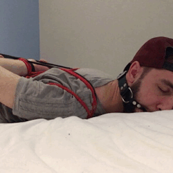 gaggedchav:Hogtied, ball gag, scally, heaven