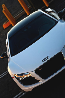 johnny-escobar:  R8 