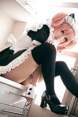 kanpekinakosupure:  Karuta Roromiya - Inu x Boku SS Cosplayer