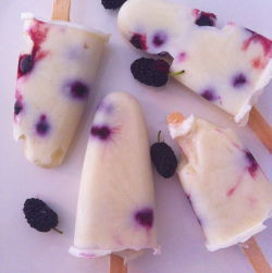 lazypacific:  fruity yogourt popsicles // @brownpapernutrition