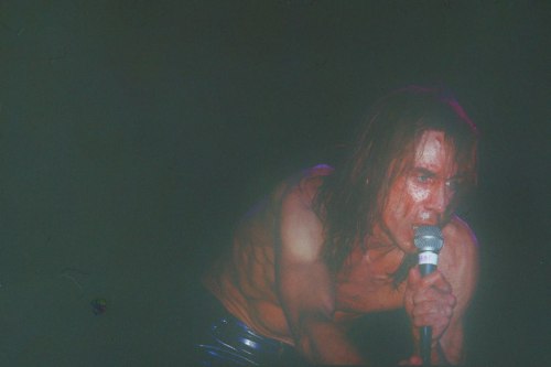theunderestimator-2:  theunderestimator-2:  Iggy Pop covered in blood during his wild performance at the “Rock Of Gods” festival, held at the port of Piraeus, Greece, in 1996 (photos by Giorgos Mouratidis). While performing, Iggy got hit with a bottle