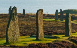 theoldstone:  The Ring of Brogdar is Neolithic henge and stone