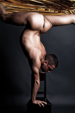 CHERUB (SAMUEL) gold series - split inversion photographed by