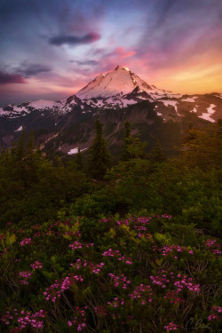 radivs:  Subtle Magnetism by Candace Bartlett 