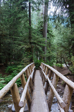 apassingbreeze: deception falls trail, washington sony nex 5n